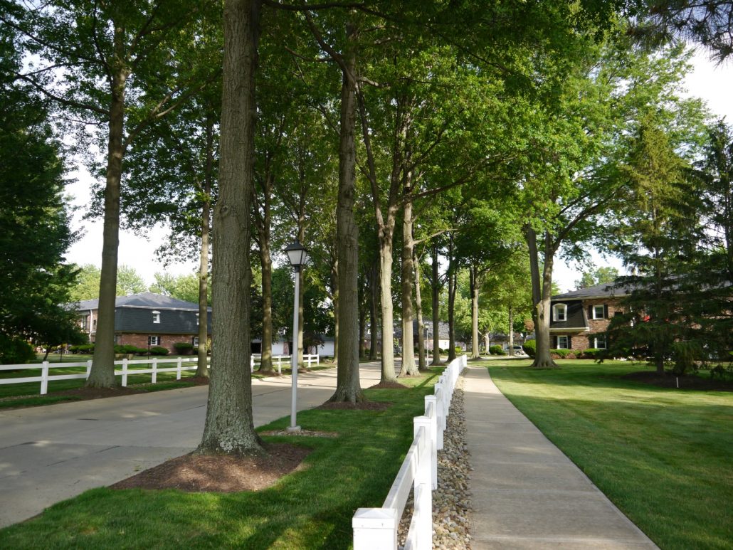 Apartments The Coral Company